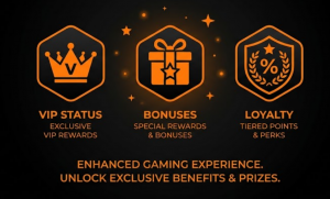 VIP & loyalty bonuses
